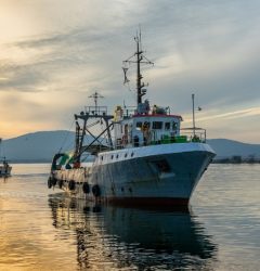 largest fishing companies
