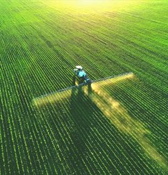 agriculture industry