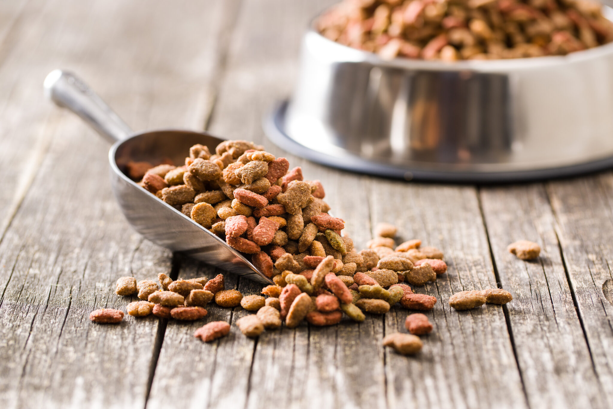 top pet food brands